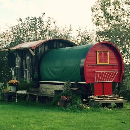 De Oude Nadorst Bed & Breakfast Groningen Eksteriør bilde