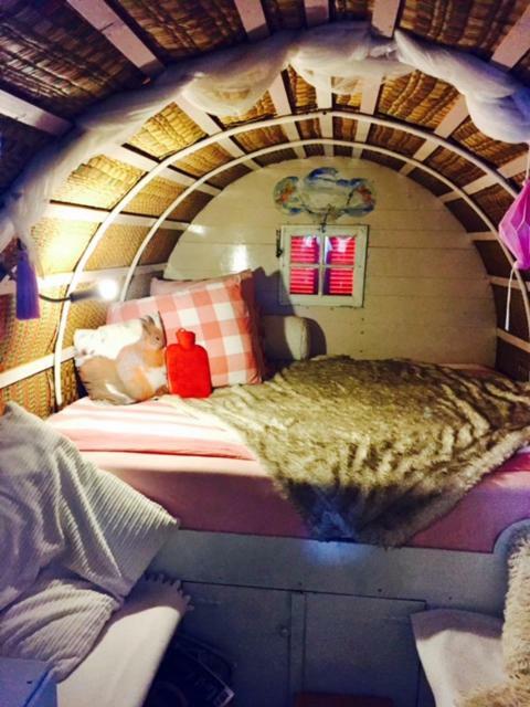De Oude Nadorst Bed & Breakfast Groningen Eksteriør bilde